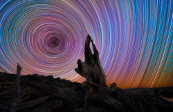 just–space:  Startrails   Photo by Lincoln