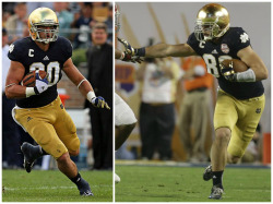 Tyler Eifert (Notre Dame &Amp;Amp; Cincinnati Bengals)