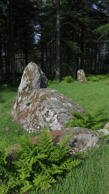 ‘Nine Stanes’ Stone Circle, nr Banchory, Scotland, 30.5.18.There is something really magical about t