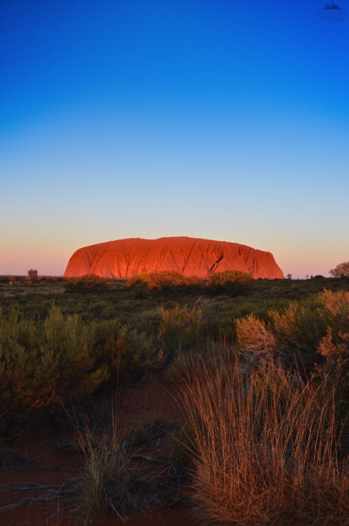 greatwideworldphoto - Uluru Glow | Original by Great Wide World...