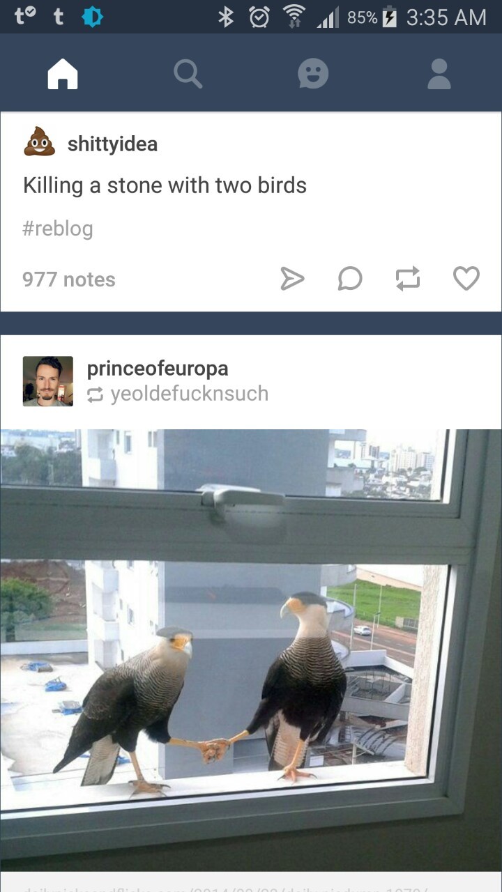 I love it when the world aligns to make coincedences like this