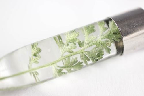 mossofthewoodsjewelry:Wormwood (Artemisia absinthium)