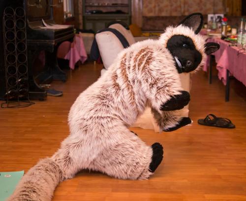 bitchsuits:  Plush fursuit by catcoon http://www.furaffinity.net/view/11814695/