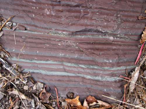 Feel the RhythmThese centimeter scale sedimentary layers in Virginia are really quite neat. They’re 