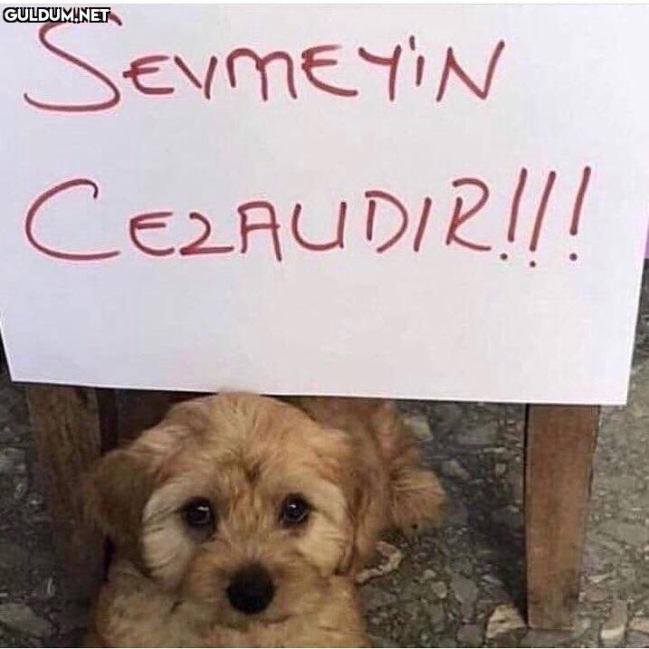 SEVMEYİN
CEZALIDIR!!!