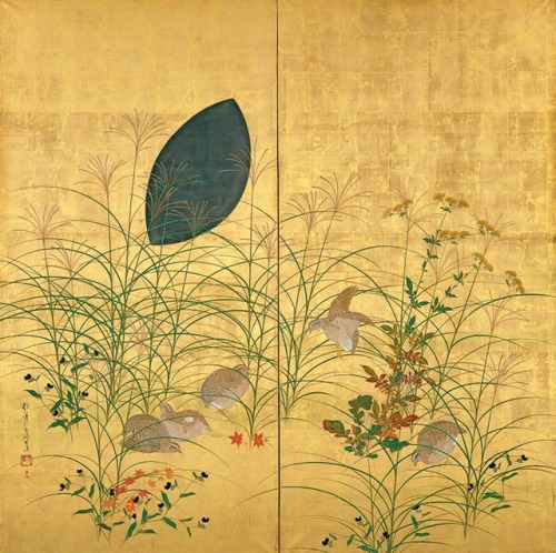 japanese-plants:Autumn Plants and Quail by Sakai Hōitsu (1761-1828)酒井抱一作「秋草鶉図」