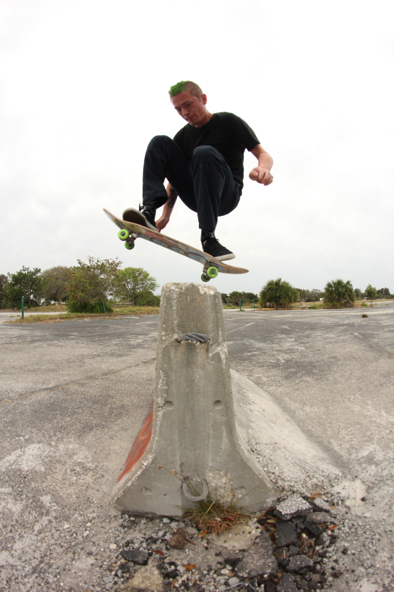 Tom Ball | Wallie | Melbourne, FL