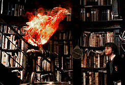 irgendwoanders:  Fawkes is a phoenix, Harry. They burst into flame when it is time for them to die, and then they are reborn from the ashes. 