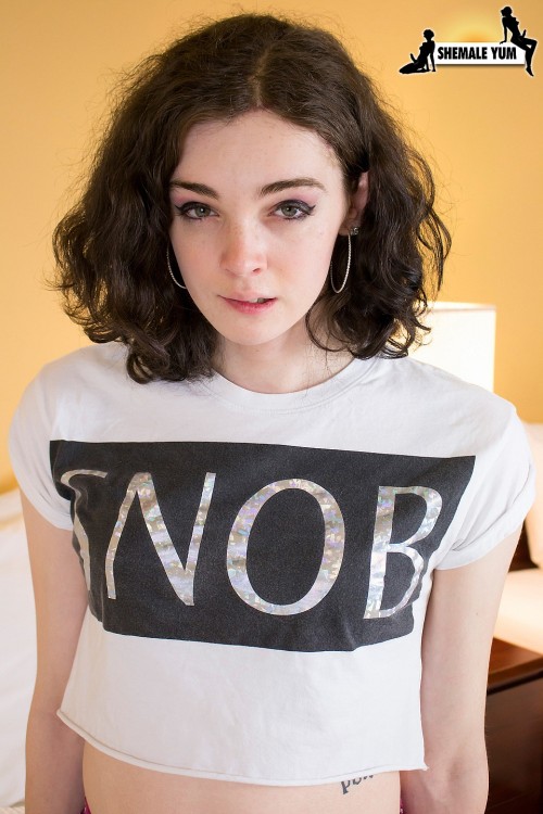 https://zayapro.tumblr.com/post/157464303377