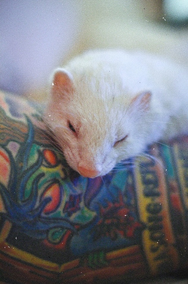 xxxyyx:  http://xxxyyx.tumblr.com/ 