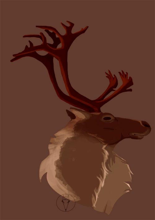 Juste Un P'tit Machin Vite Sur Photoshop Aprs Une Petite Session "qu'est-ce Que Je Dessine" Sur Ma Page