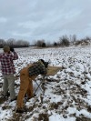 Great range day today, buddy from bootcamp and another Marine buddy of ours and my buddy’s dad. We didn’t let some snow stop us from some trigger therapy 🤘🏼