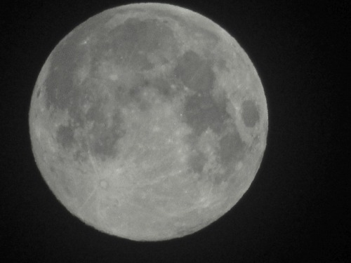 The moon this morning.  It’s amazing what these cheap little cameras can do.