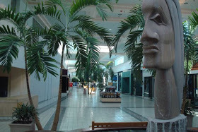 djbandwidth:  Biltmore Mall, Asheville North Carolina. The death of palm paradise-