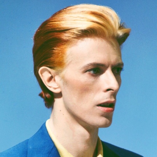haveahiddles:  andinthemeantimeconsultabook:  2016… what an absolute shit year.  Thank you for your words, your music, your art, your courage - for all that you were. Rest easy, knowing you’ll never be forgotten.  On the bright-side, the In Memoriam
