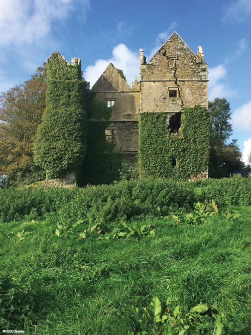 gnossienne:The Irish Aesthete: Ruins of Ireland, by Robert O'Byrne