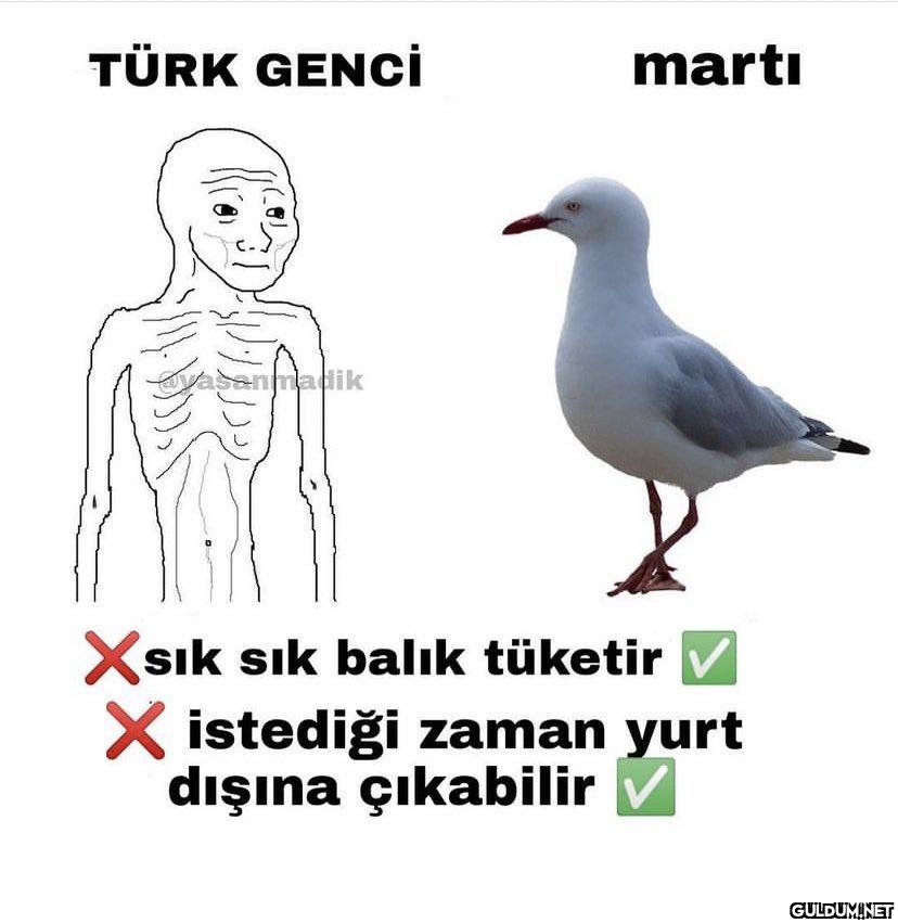 TÜRK GENCİ vasanmadik...