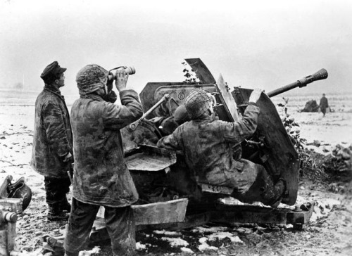 derpanzergraf: Luftwaffe 3,7cm Flak 43, 1944. The soldier in the middle is wearing a camouflaged waffen-ss helmet