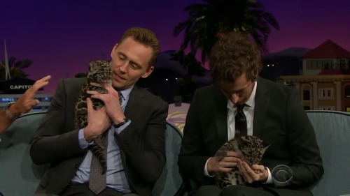 watching Tom Hiddleston hold a baby clouded leopard and cuddle with a penguin. my life is complete. 