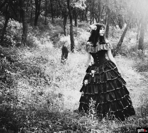 Elegance in Darkness