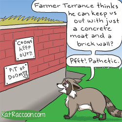 katswenski:  More Raccoon Escapades! The