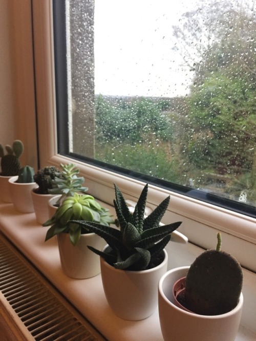 petitplants: 15/01/18