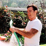 Friends gifs and funny things