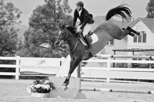 One more for the night :D This horse was insane lol, every single jump he cleared it with another fo