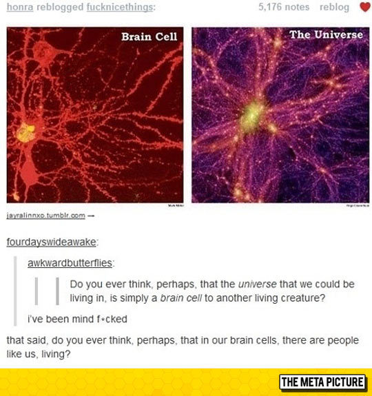 thingsmakemelaughoutloud:  A Theory That Messes With My Head- Funny and Hilarious
