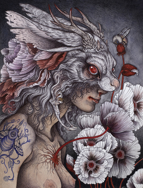 wordsnquotes:  bestof-society6:ART PRINTS BY CAITLIN HACKETTAt What Cost Vulpes