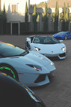 johnny-escobar:  Aventador 4x | JE