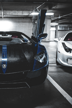 wearevanity:  | Snake skin Aventador vs Snow White 458 | © 