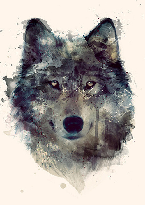saramagpie: Wolves by Amy Hamilton
