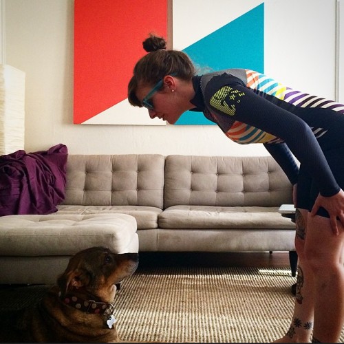 mari-musing: laatsteronde: Don’t judge me MAGalodon the dog! Chamois time (in the @mwicross @castell