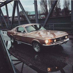 thepurplehazeofbygonedays: 1967 Mustang GT Fastback 