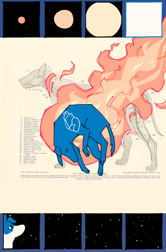 Made A Massive Scrolling Style Comic For A Final Project Abt Laika The Dog . Sorry 2 Put U Guys Thru