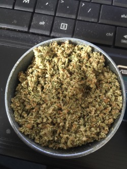 vinny-likes-to-play21:  Sometimes a grinder full of weed is all that you need ☺️  12.4.2015 
