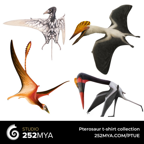 Pterosaur Tuesday! Choose you favorite out of the 20 flying reptiles we have available on t-shirts. 