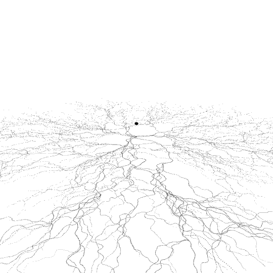 #gif from wavegrower