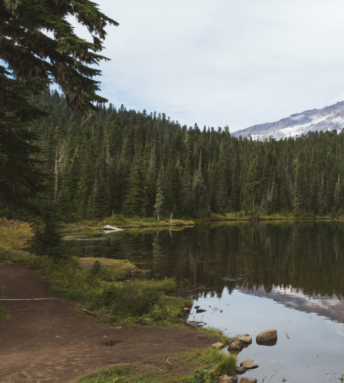 Reflection Lake, Mount Rainier