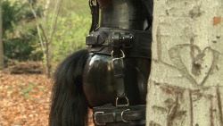 Nighty-Horse:  Pony Butt :)