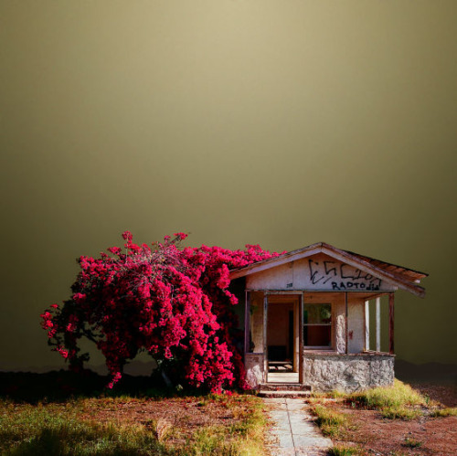 nevver:  Paradise lost, Ed Freeman  porn pictures