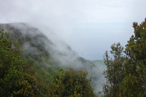 Kalalau Lookout Rolling Fog by ESemling on Flickr.