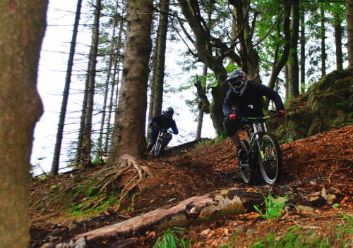 einerundesache: Gravity Pilots in St.Andreasberg, Germany. Roland and Rainer rocking the downhill tr