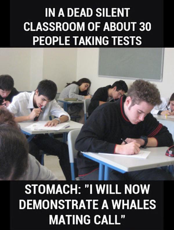 This made me giggle&hellip; I won&rsquo;t lie.  ;)