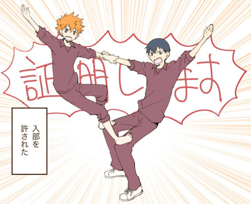 kagehina:  ハイキュー!!まとめ 