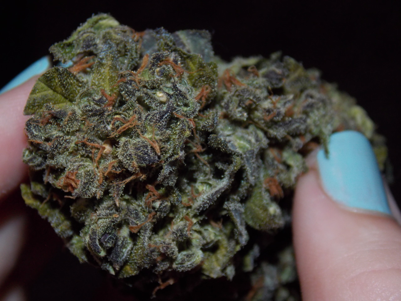 High