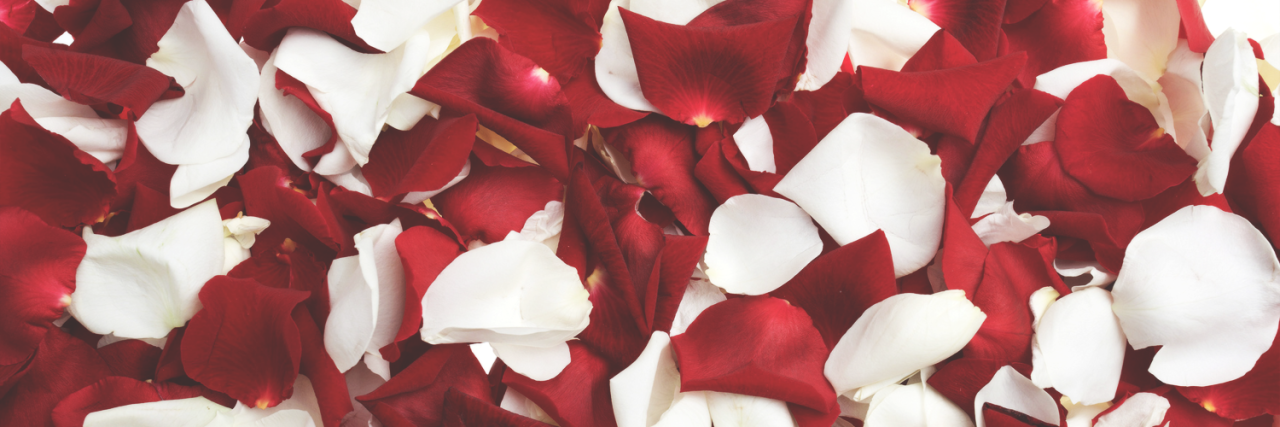 neon-graphics:  Random Headers Credits to @neon_graphics or @daffodildana if using