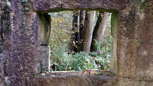 Looking through Folly Windows.