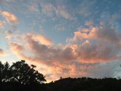 hearts-remade:  lazeyguava:  The clouds reflected